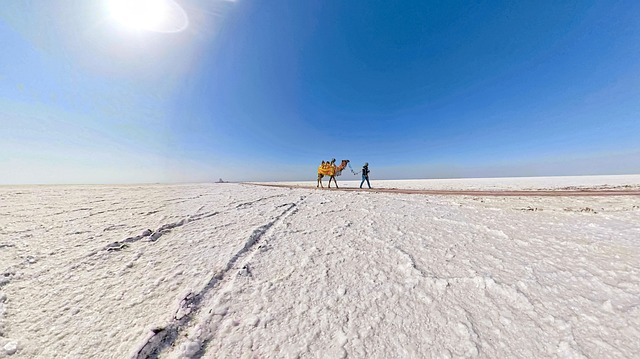 Kutch Diaries