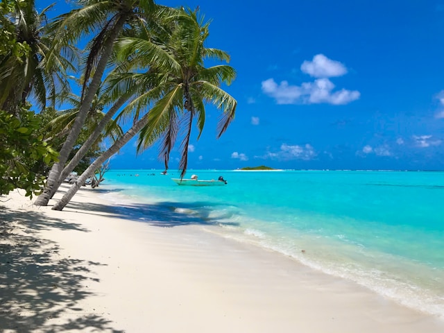 Maldives Magic