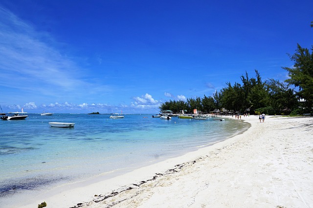Mauritius Magic