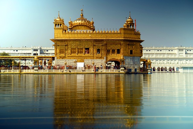 Punjab Delight