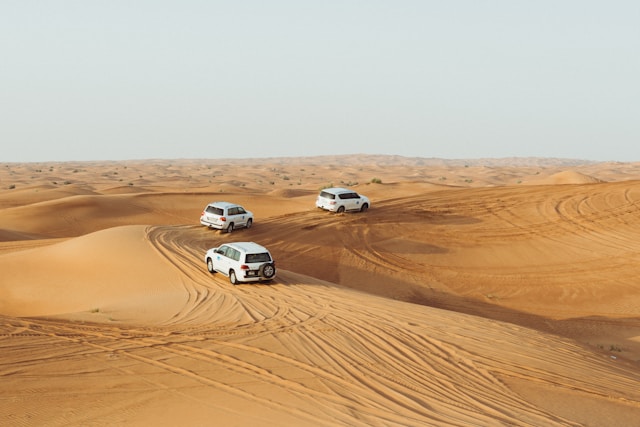 Rajasthan Royal & Desert...