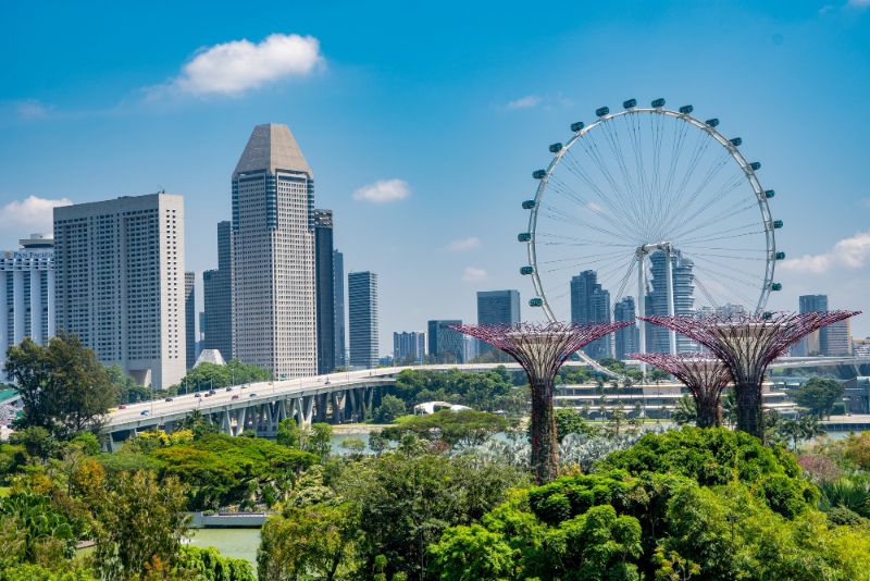 Singapore Delight Tour
