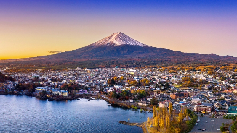 The Japan Jive
