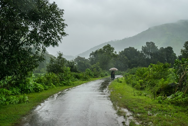 Wonders of Assam – Meg...