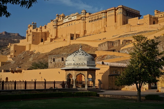 Desert Dreams: Jaipur Es...