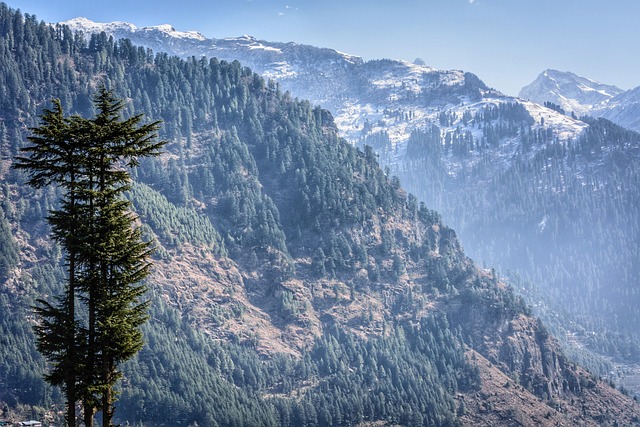 Manali–Dalhousie Escape ...