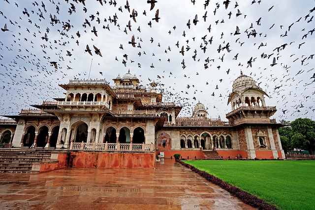 Royal Romance in Jaipur ...