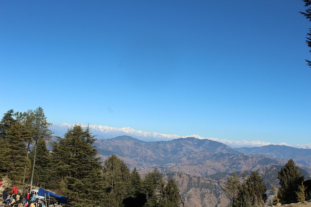 Shimla Serenity Escape f...