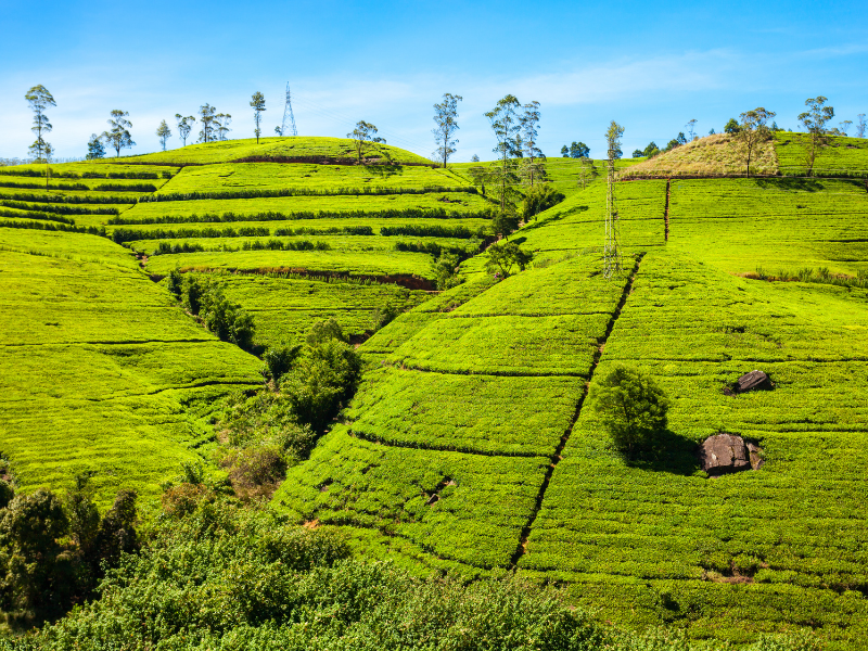 Heritage of Sri Lanka