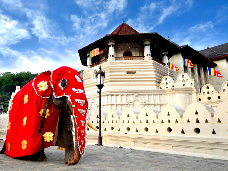 Highlights of Sri Lanka