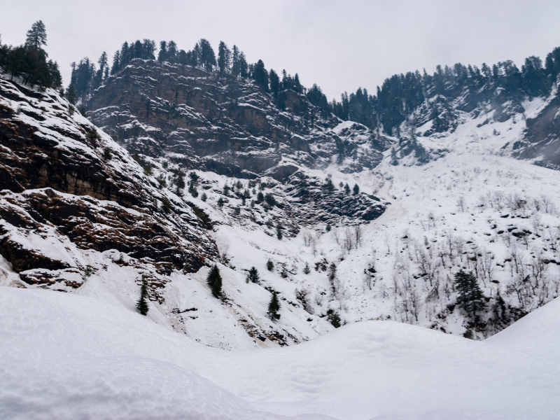 Mesmerising Himachal Ex Delhi