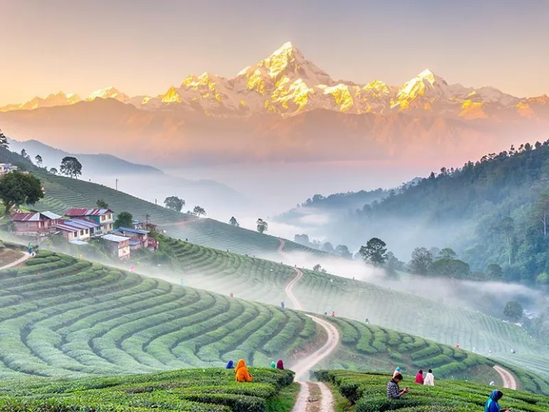 The Grand Sikkim & Darjeeling Expedition