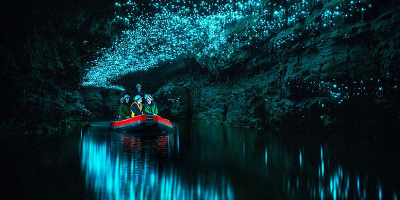 Discover the Best of North Island – 5 Days