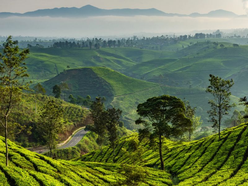 Bangalore Mysore Coorg Ooty Tour