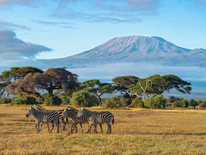 Classic Kenya Safari