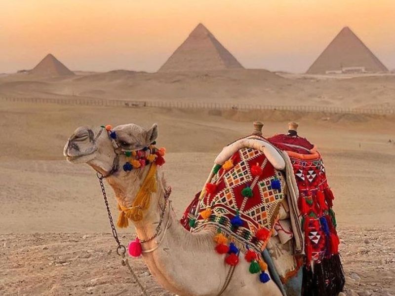 Explore Jordan