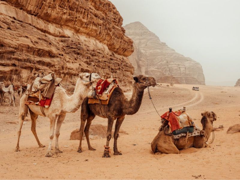 Highlights of Jordan