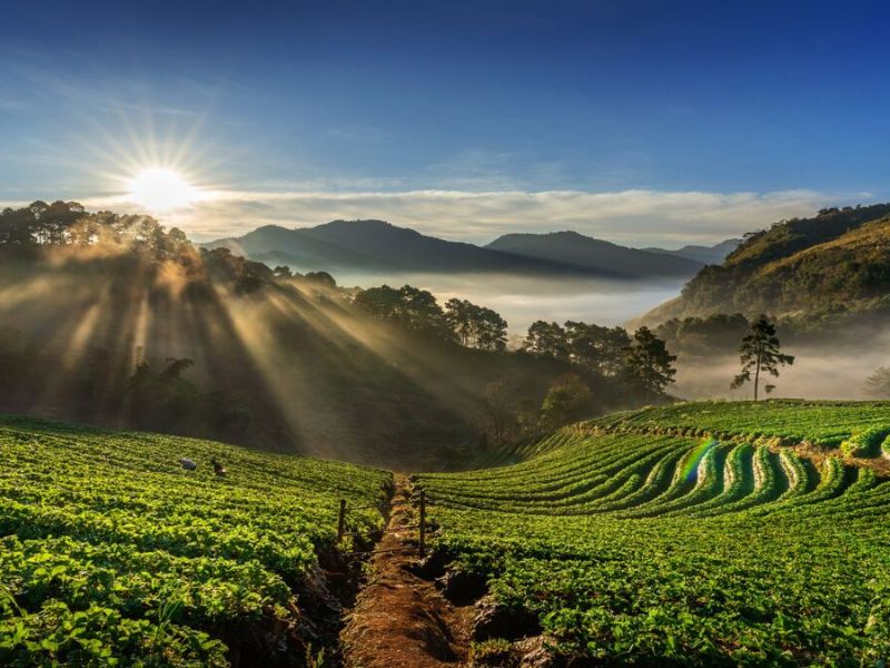 South India Scenic Tour