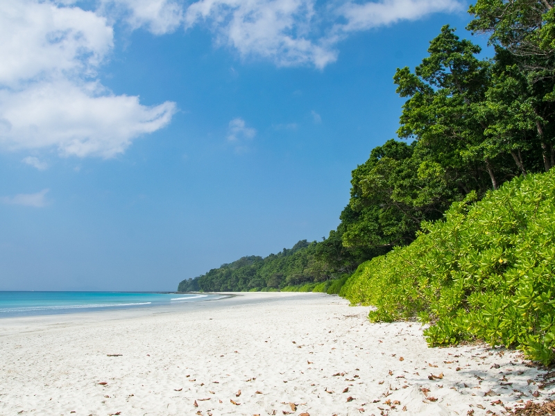 Hidden Andaman 