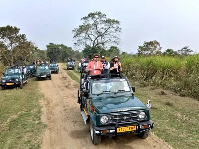 Assam Rhino Escape – Kaziranga & Guwahati