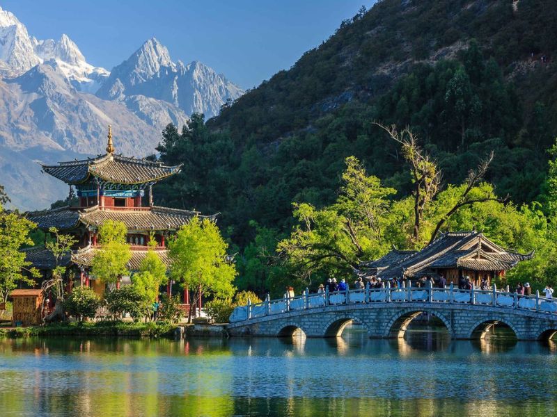 China Essence and South Discovery