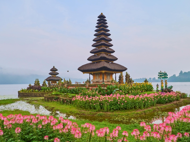 Delightful Bali