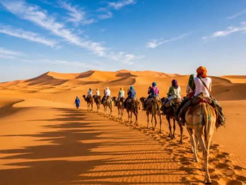 Desert Horizons of Morocco