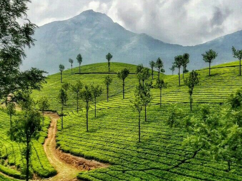 Explore Kerala 