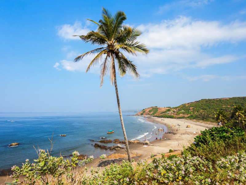 Goa - Group Tour