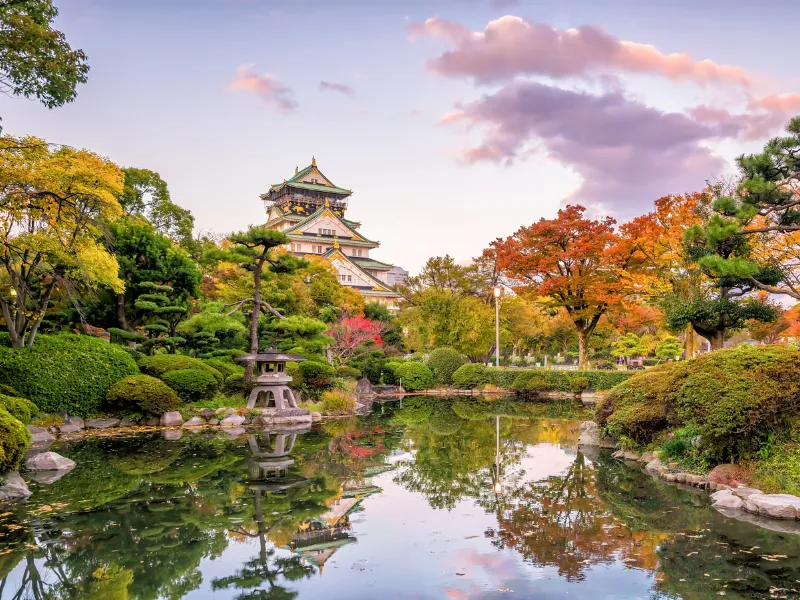 Japan Beyond Horizons