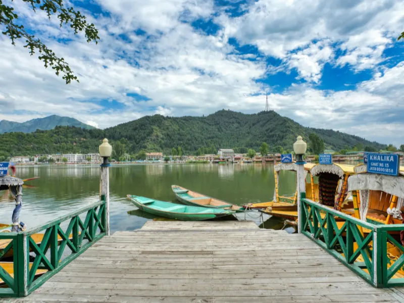 Kashmir Dream Journey