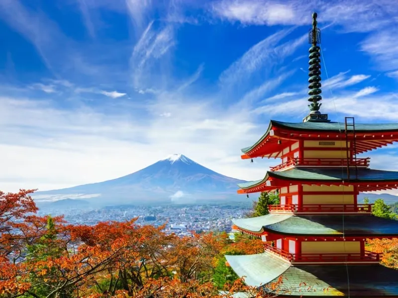 Magic of Japan