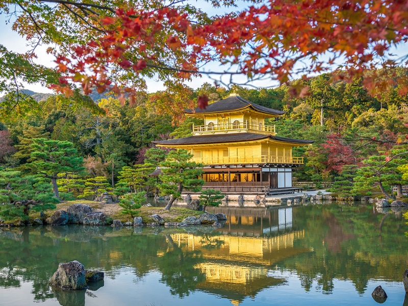 Majestic Japan Journey