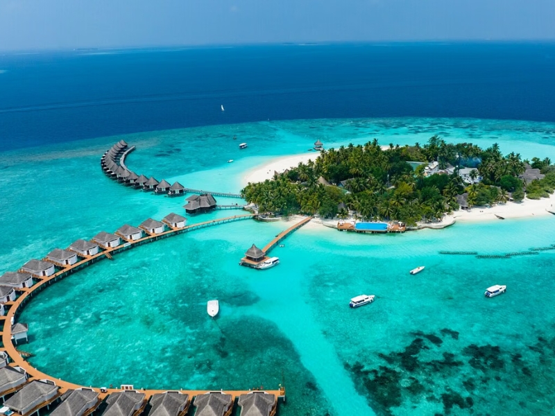 Romance in the Blue Lagoon
