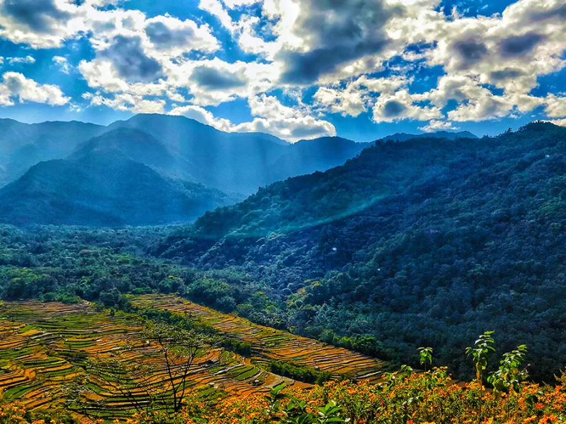 Splendid Nagaland Explorer