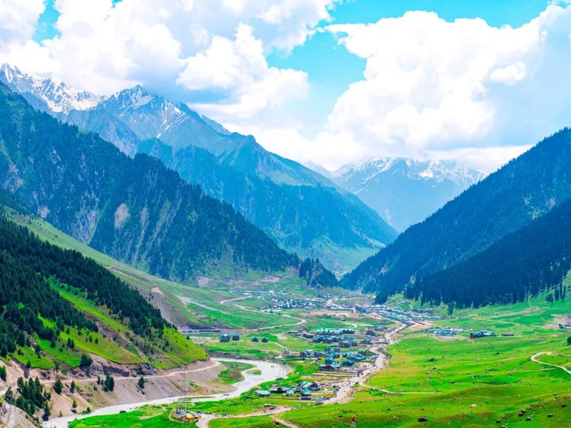 The Kashmir Diaries