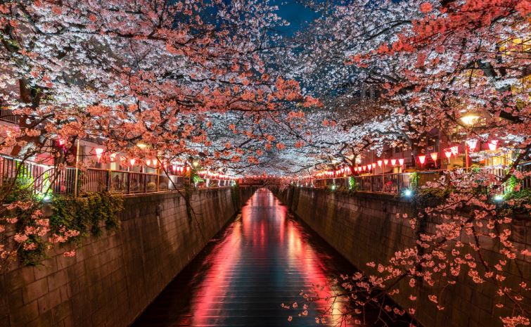 EXPLORE JAPAN