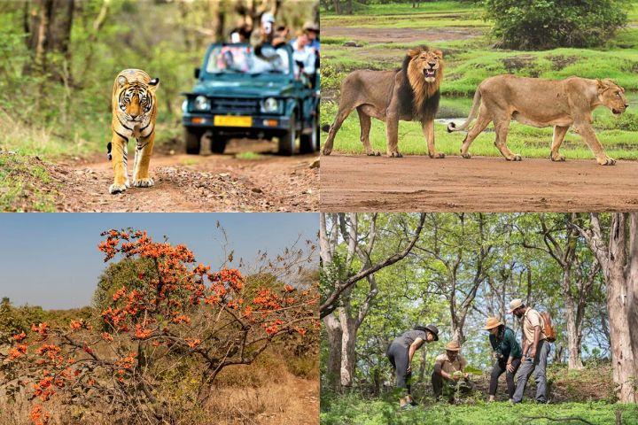 GIR NATIONAL PARK WITH E...