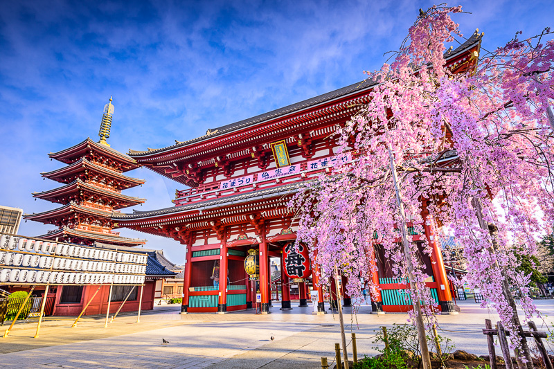 SCENIC JAPAN