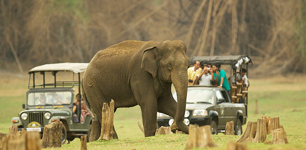 SPLENDID SOUTH INDIA