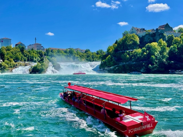 SWISS ALPINE