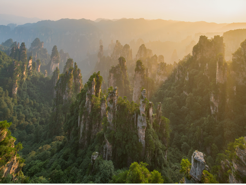 Dynasties to Dreamscapes...