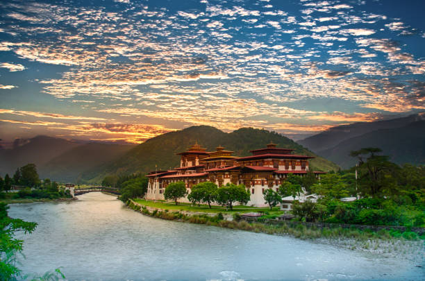 Bhutan Delight 6N7D
