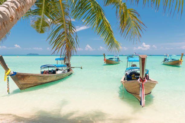 Dazzling Elite Andaman Port Blair 