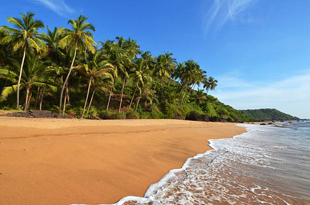 LOVELY GOA