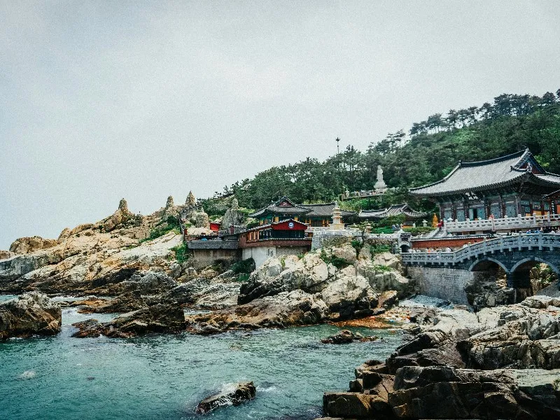 Majestic South Korea: City, Coastal & Island Highlights