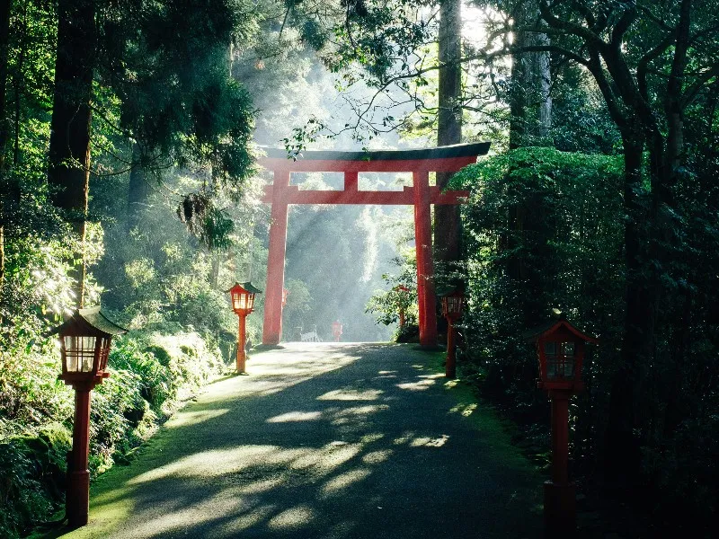 Timeless Japan: Heritage, Cities & Scenic Highlights