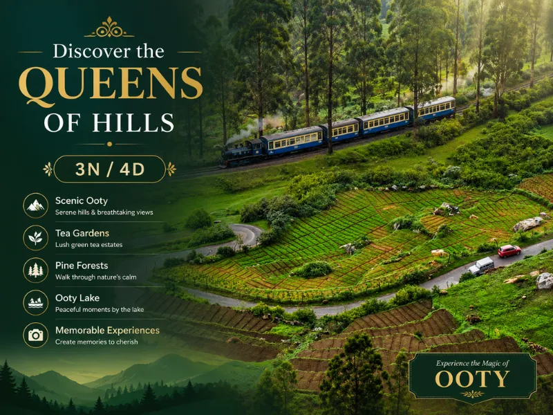Discover the Queen of Hills