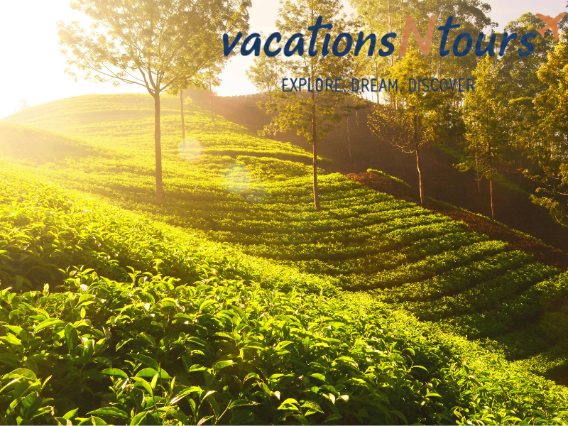 Green Paradise Kerala Tour