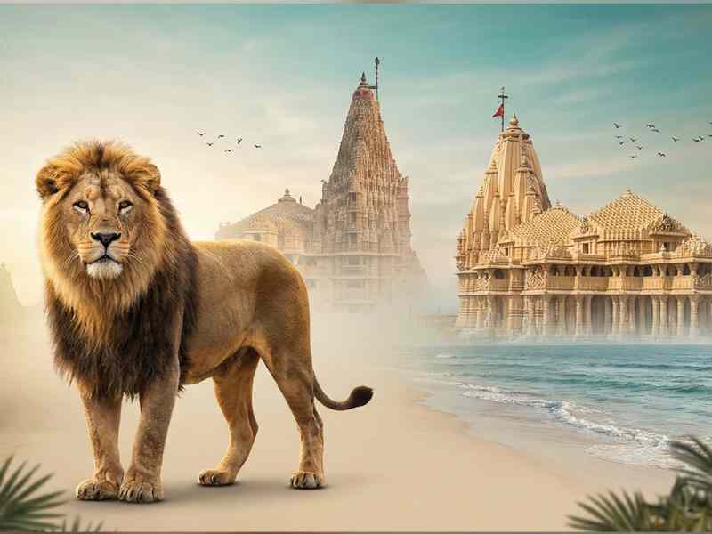 Divine Gujarat with Gir Wildlife Escape